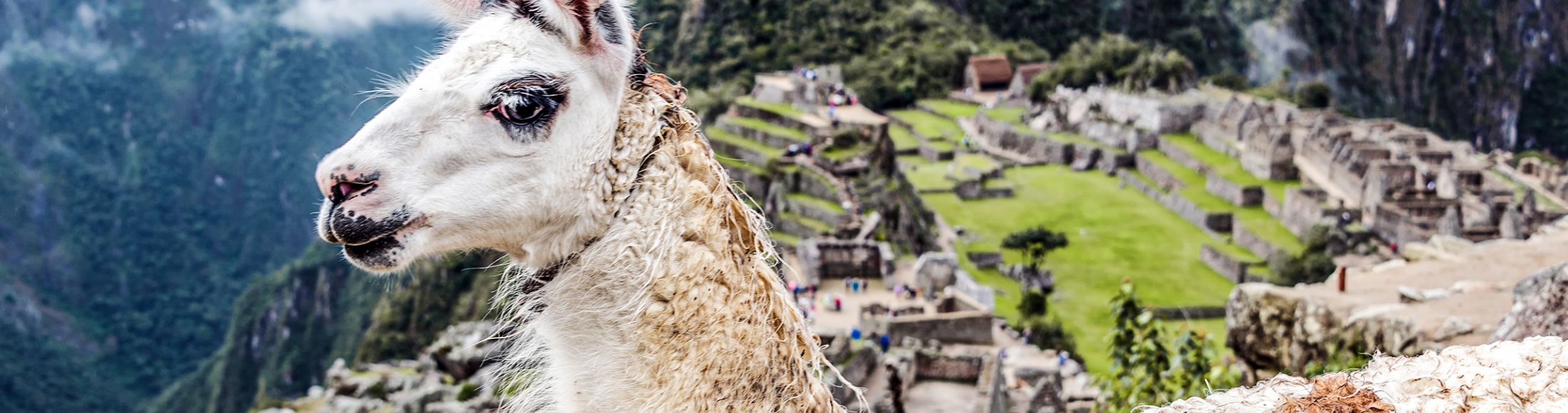 Machu Picchu 8D7N Viajero (Full Cultural) desde Argentina